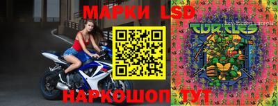 твердый Новодвинск