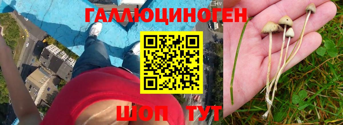 Псилоцибиновые грибы мицелий  Вход с VPN  Балашиха 